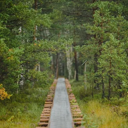 Serene Next To Nature Reserve Kärde