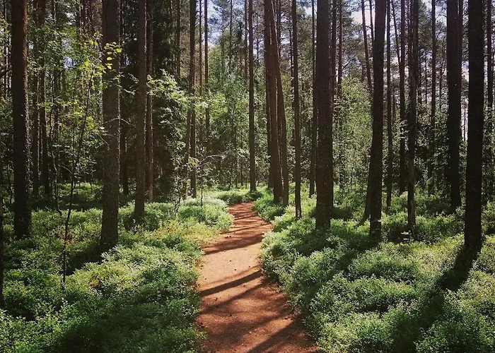 Serene Next To Nature Reserve *