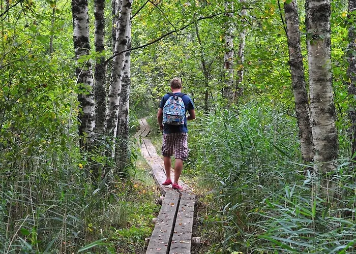 Serene Next To Nature Reserve