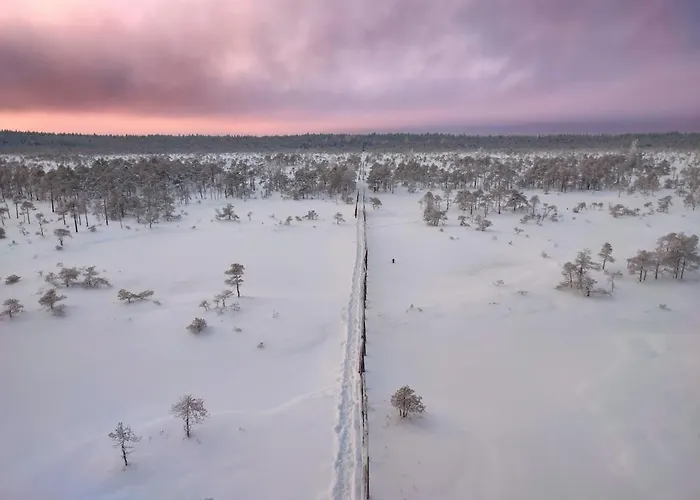 Serene Next To Nature Reserve *