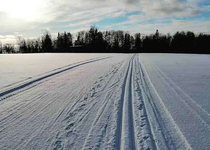 Serene Next To Nature Reserve Holiday home