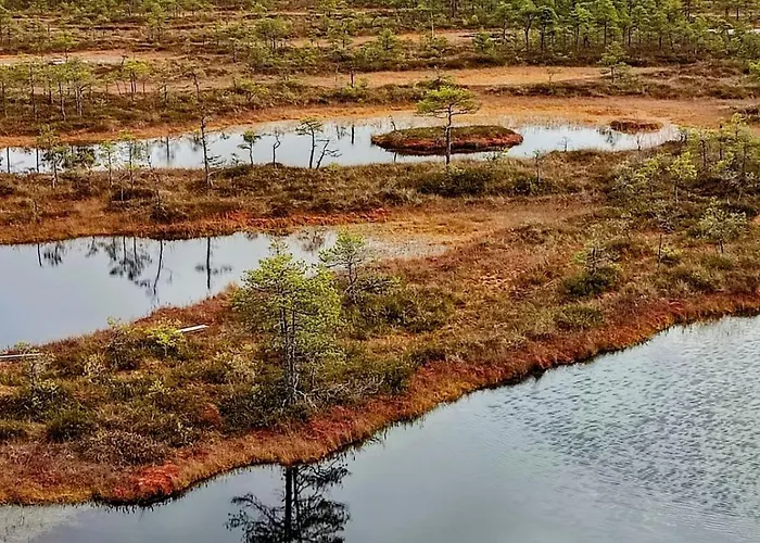 Serene Next To Nature Reserve