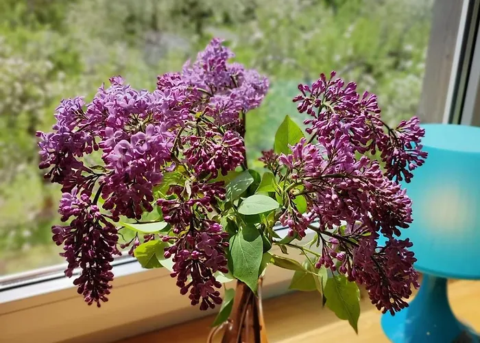 Serene Next To Nature Reserve Holiday home